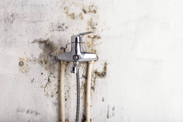 Best Mold Testing and Inspection Services in Jim Thorpe, PA