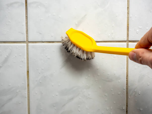 Best Residential Mold Remediation in Jim Thorpe, PA